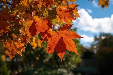 Multicolored foliage in different shades