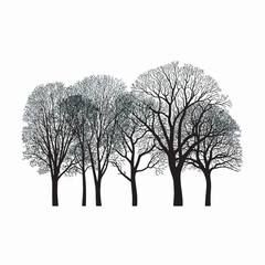lonely winter tree silhouette on white background