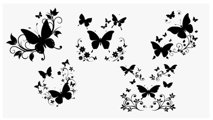 black and white butterfly
