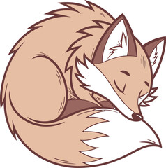 Cute sleeping fox curled up cozy and peaceful animal wildlife illustration isolated on transparent background