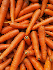 Pile of fresh orange carrots