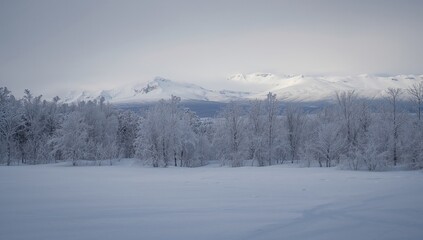 Obraz premium Field and trees covered in snow under a cloudy sky, seasonal change
