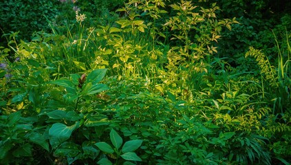 Lush foliage backdrop with vibrant greenery, summer vibes, and natural plants