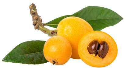 Pair of Whole and Cut Loquats Displaying Juicy Tropical Texture – isolated on transparent background