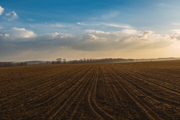 Tire marks left on a bare field ready for planting season.