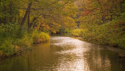 Fototapeta premium Scenic creek flowing through a lush forested area in a serene neighborhood