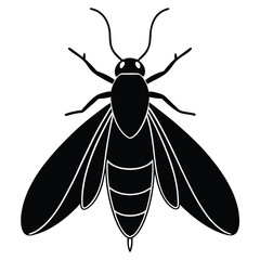 vector illustration of a fly