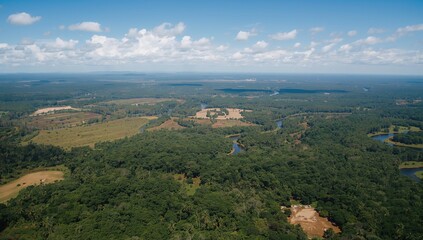 Obraz premium Aerial view of land clearing in the Amazon rainforest, highlighting environmental impact