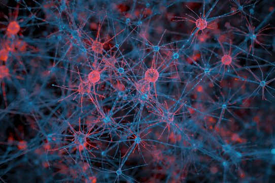Complex connections of neurons and synapses are vital for studying neurodegenerative diseases such as Parkinson's and Alzheimer's.