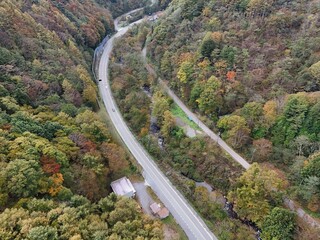 Fototapeta premium A road with trees on both sides and a building in the distance. The road is winding and the trees are in various stages of fall
