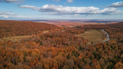 Obraz premium Aerial view of multiple autumn landscapes, showcasing seasonal change