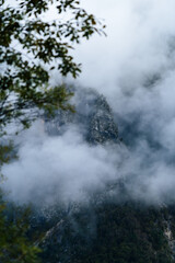 Close-Up of a Fog-Covered Partially Forested Mountain with Leaves in Foreground and Mystical Atmosphere
