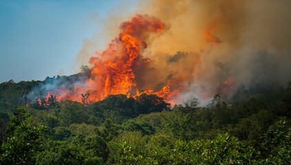 Forest fire engulfing trees, erosion risk