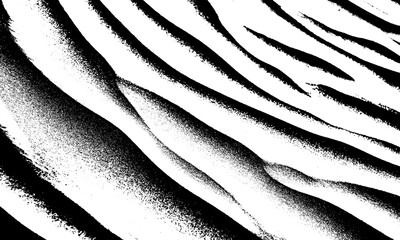 Abstract Black and White Pattern of Sand Dunes, Desert Landscape