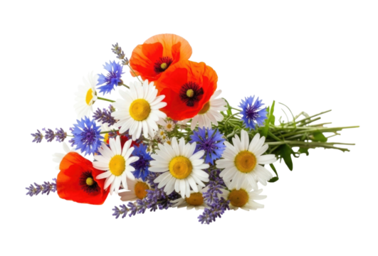 Wildflower bouquet with poppies and daisies transparent background cutout png - Powered by Adobe