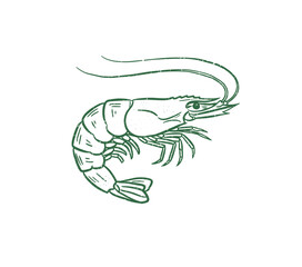 Seafood club vintage artwork. Shrimp fish artwork for t shirt print, poster, sticker and other uses. Delicious seafood. Fish vintage artwork.