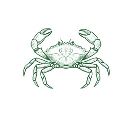 Crab design. Crab fish artwork for t shirt print, poster, sticker and other uses. Fish vintage artwork. Seafood club. Crab illustration.
