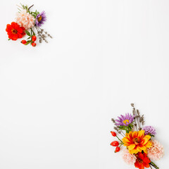 Autumn floral frame with asters, dahlias, lavender, rose hips on white square background, flat lay style with copy space, for thanksgiving, halloween, all saints day, autumn equinox, harvest festival