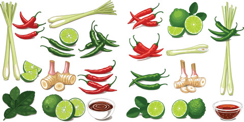 Hand-Drawn Thai Culinary Ingredients and Spices Vector Set