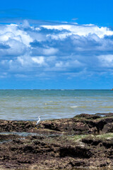 Piedade Beach, Jaboatao, Pernambuco - Brazil