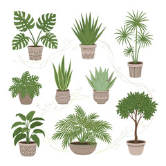 A charming collection of various potted houseplants in decorative containers, showcasing a range of foliage textures and styles for interior design inspiration.