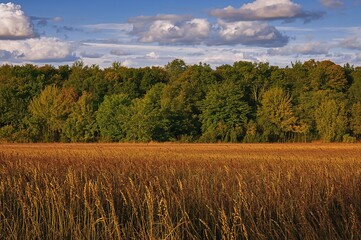 Stunning vibrant landscapes with natural beauty