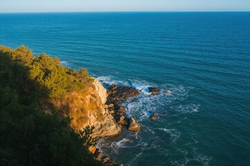 Fototapeta premium Boulder surrounded by foliage overlooking the ocean