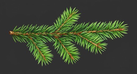Obraz premium A realistic illustration of a fresh green pine branch with needles on a dark gray background