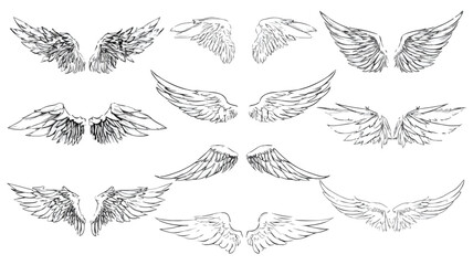 Feathered Avian Wings Vector Set for Professional Designs