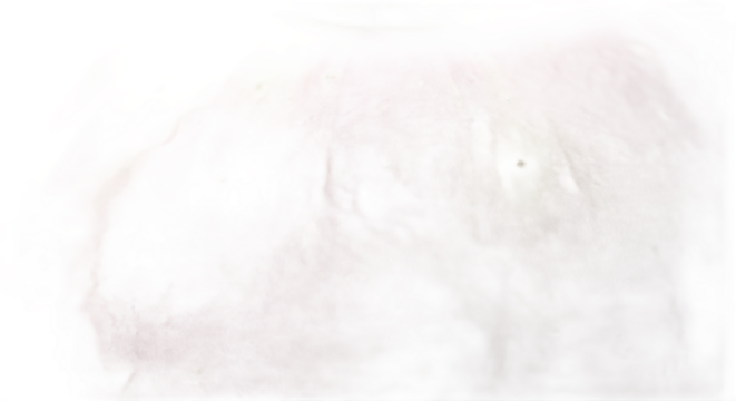 Crimson fruit blemishes revealed abstract illumination