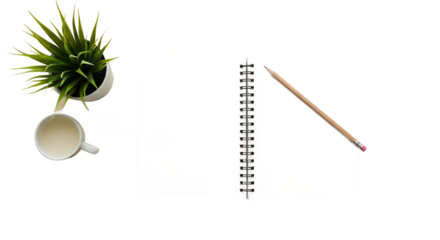 Desk setup plant drink open notebook pencil