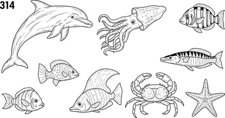 Collection of marine life illustrations including a dolphin, squid, various fish, crab, and starfish.