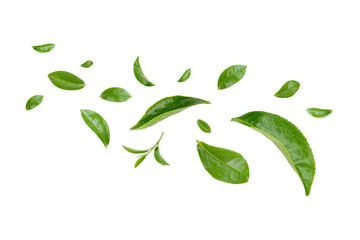 Green Leaves Floating Isolated on Transparent Background png