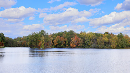 Colorful Trees by Stanfield Lake on a Clear Autumn Day
