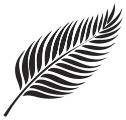 Obraz premium Stylized tropical palm frond silhouette graphic. Black leaf vector illustration for design.