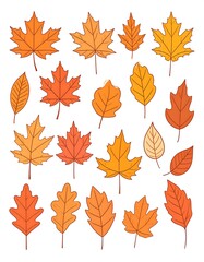 Autumn Leaves Collection - Vibrant Fall Foliage Illustration.