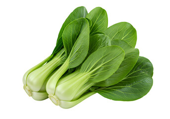Fresh Bok Choy Green Vegetable on white background