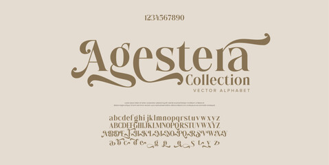 Premium luxury elegant alphabet letters and numbers. Elegant wedding typography classic serif font decorative vintage retro. Creative vector illustration