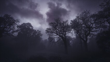 Obraz premium A mist-covered forest under dark, threatening skies
