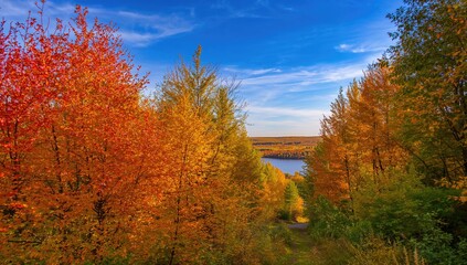 Naklejka premium Stunning autumn landscape featuring vibrant trees and foliage, showcasing seasonal change