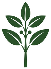 Green Leafy Plant with Berries Illustration Simple Nature Graphic Design Element