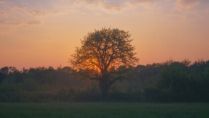 Obraz premium Dawn Breaking