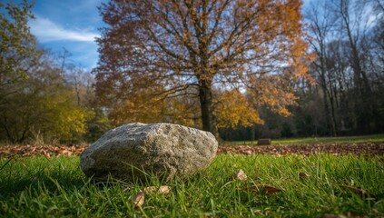 Rock resting on green grass with a natural setting, scenic travel spot featuring trees and foliage in autumn