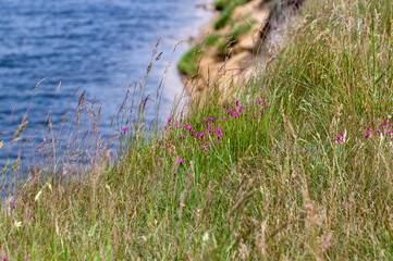 Skarpa osuwisko nad rzeką piękny słoneczny dzień.	
