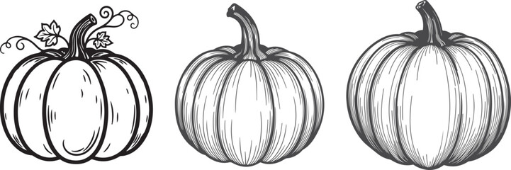 silhouette of pumpkin set bundle on the white background