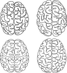 Human Brain Line Art Anatomy Medical Illustration Bundle
