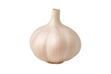 Single garlic bulb with smooth papery skin, off-white light pink tint, isolated on white
