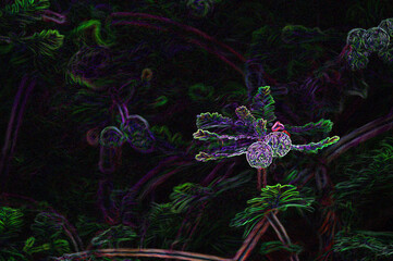 Abstract effect on leaves and branches of a cypress tree