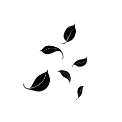 Elegant Silhouette of Falling Leaves Nature's Gentle Dance in Black and White