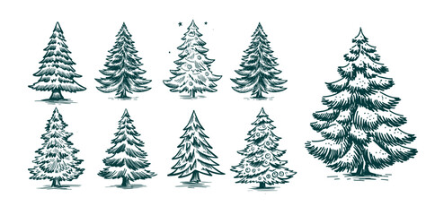 Christmas tree set on white. Hand drawn illustration.	
